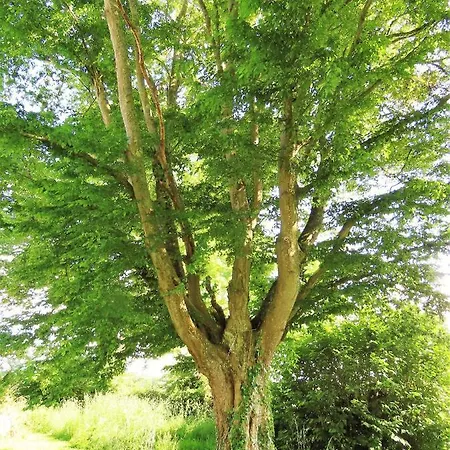Σπίτι διακοπών L'escale Normande A La Ferme Feugere